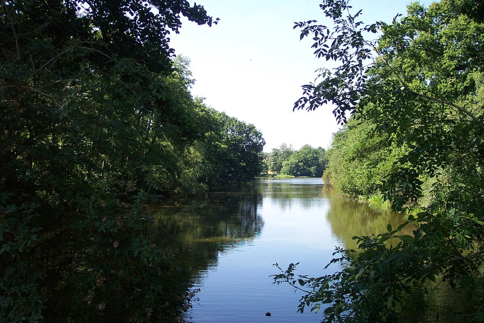 An image depicting the trail Whiteknights Lake Loop and its surrounding area.