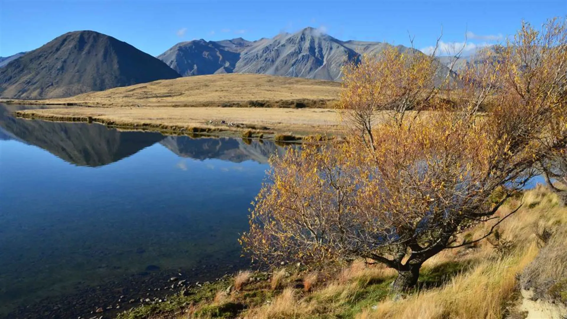 An image depicting the trail Lake Hill Track and its surrounding area.