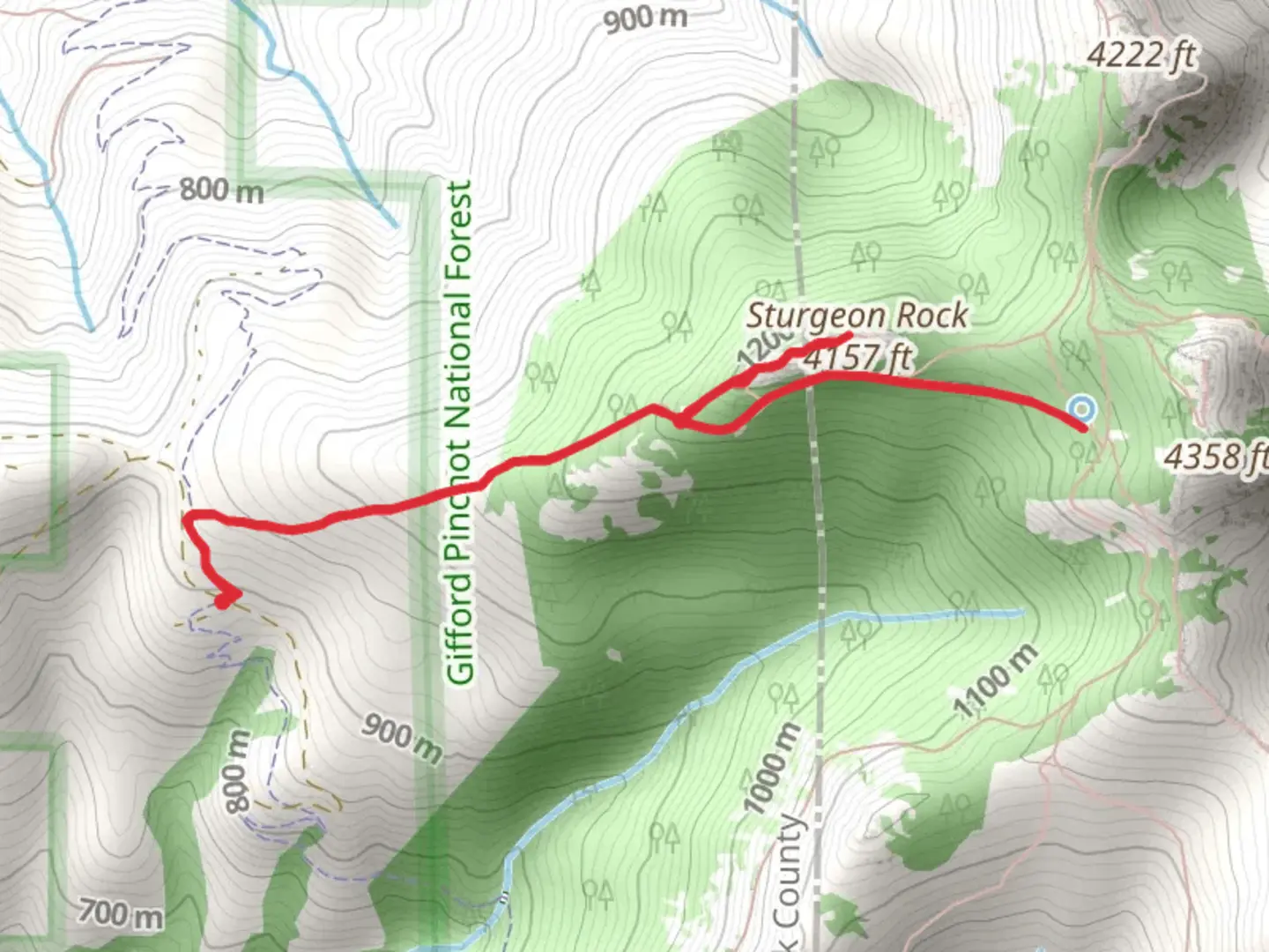 An image depicting the trail Sturgeon Trail and its surrounding area.