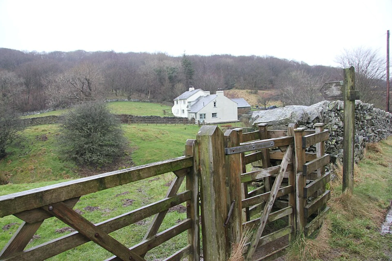 An image depicting the trail Scroggs Bridge and River Gowant Loop and its surrounding area.