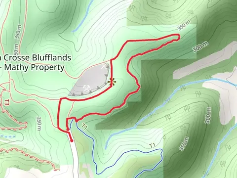 The Rim and Sidwinder Loop