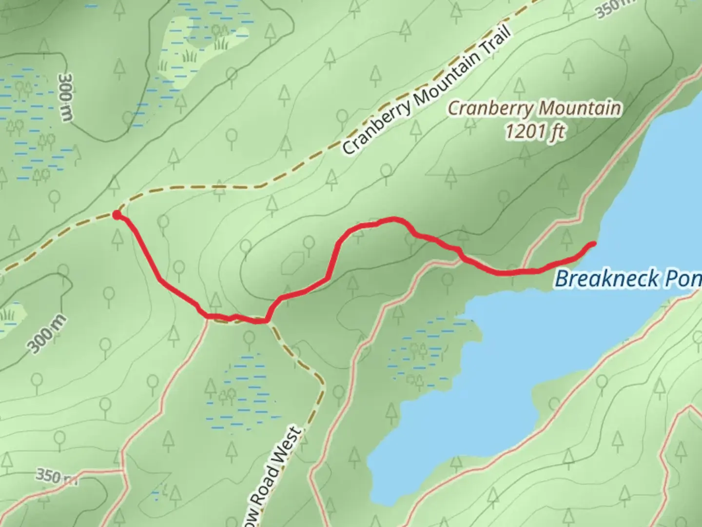 An image depicting the trail Pine Meadow Road and its surrounding area.