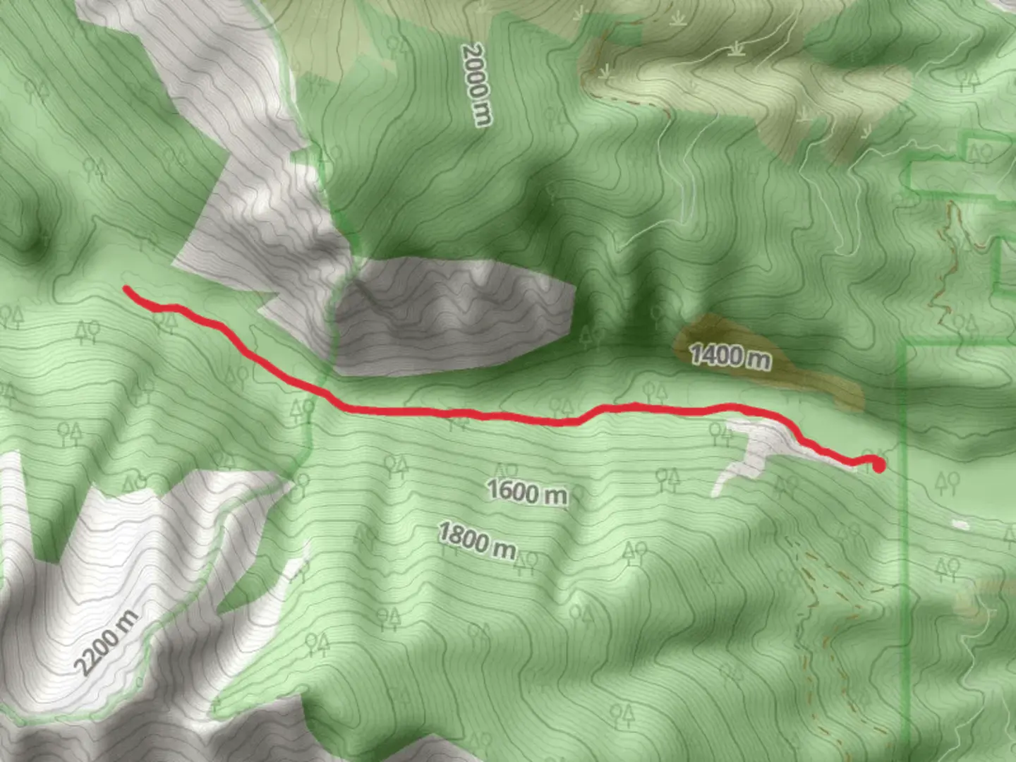 An image depicting the trail Bear Creek Trail Out and Back and its surrounding area.