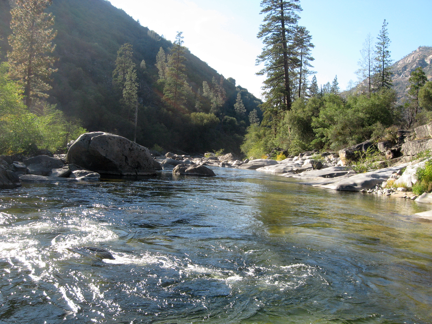 An image depicting the trail Walk along Tuolumne River and its surrounding area.