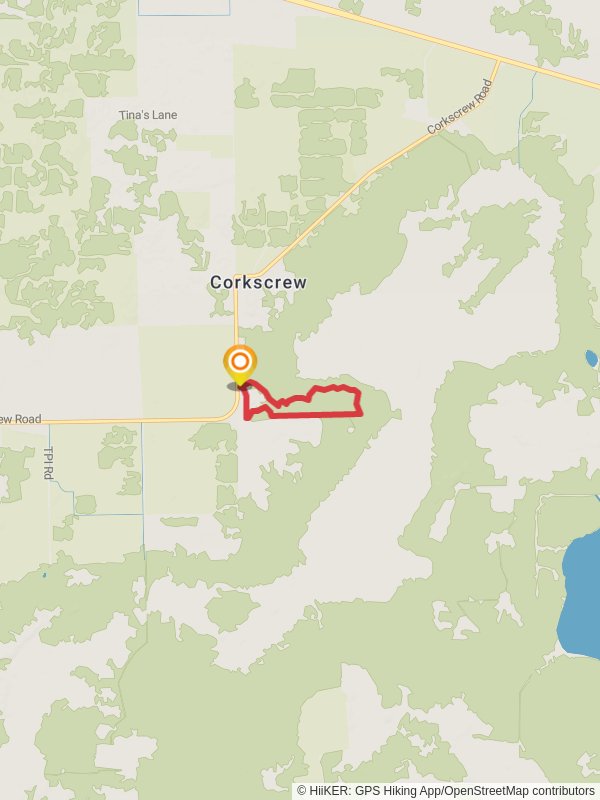 Crew Cypress Dome Primitive Campsite Loop mobile static map