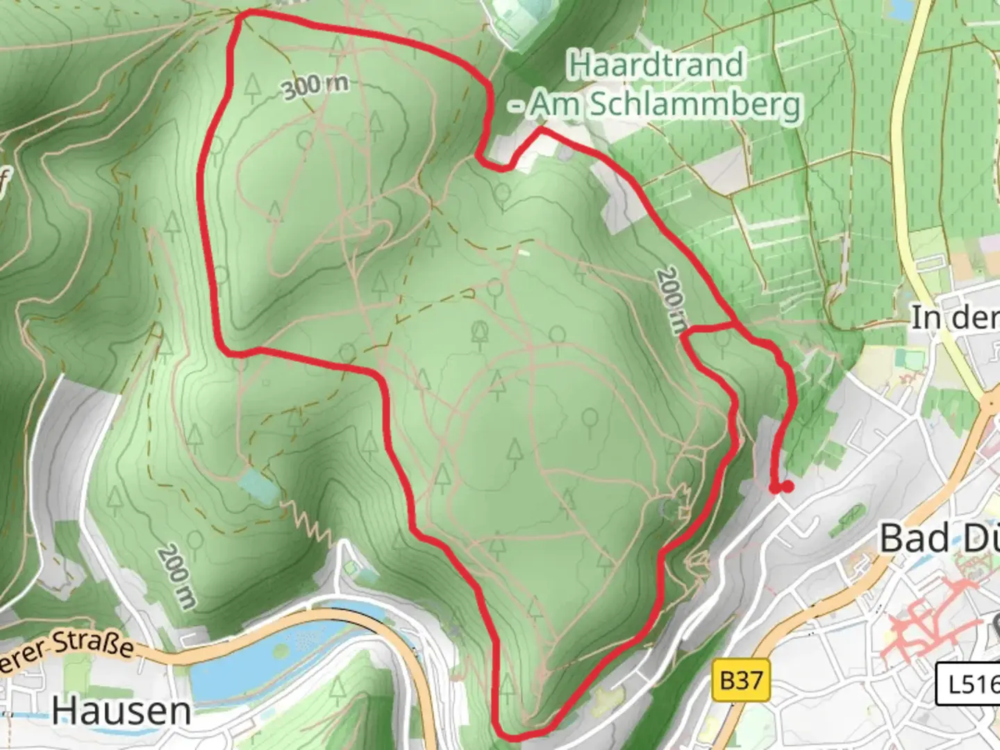 An image depicting the trail Herzogweiherblick and Ricardus Blick via Pfalzerwald Roter Punkt and its surrounding area.