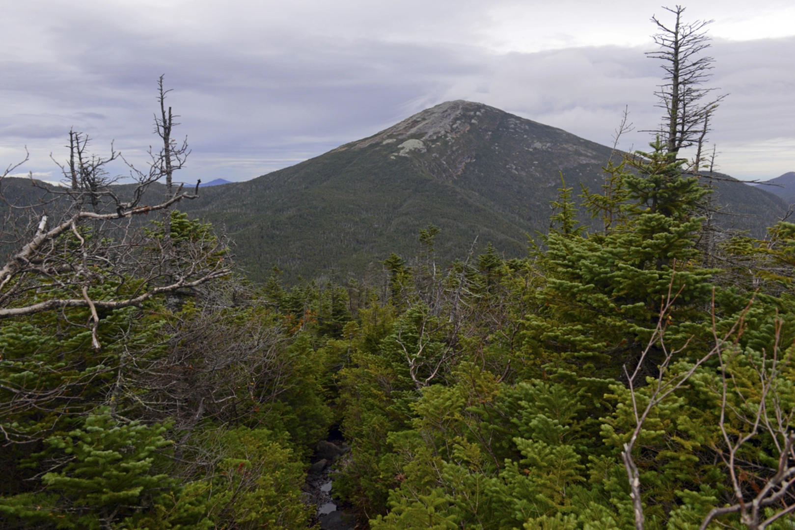 An image depicting the trail Cliff Mountain via Marcy Dam Truck TRail and its surrounding area.