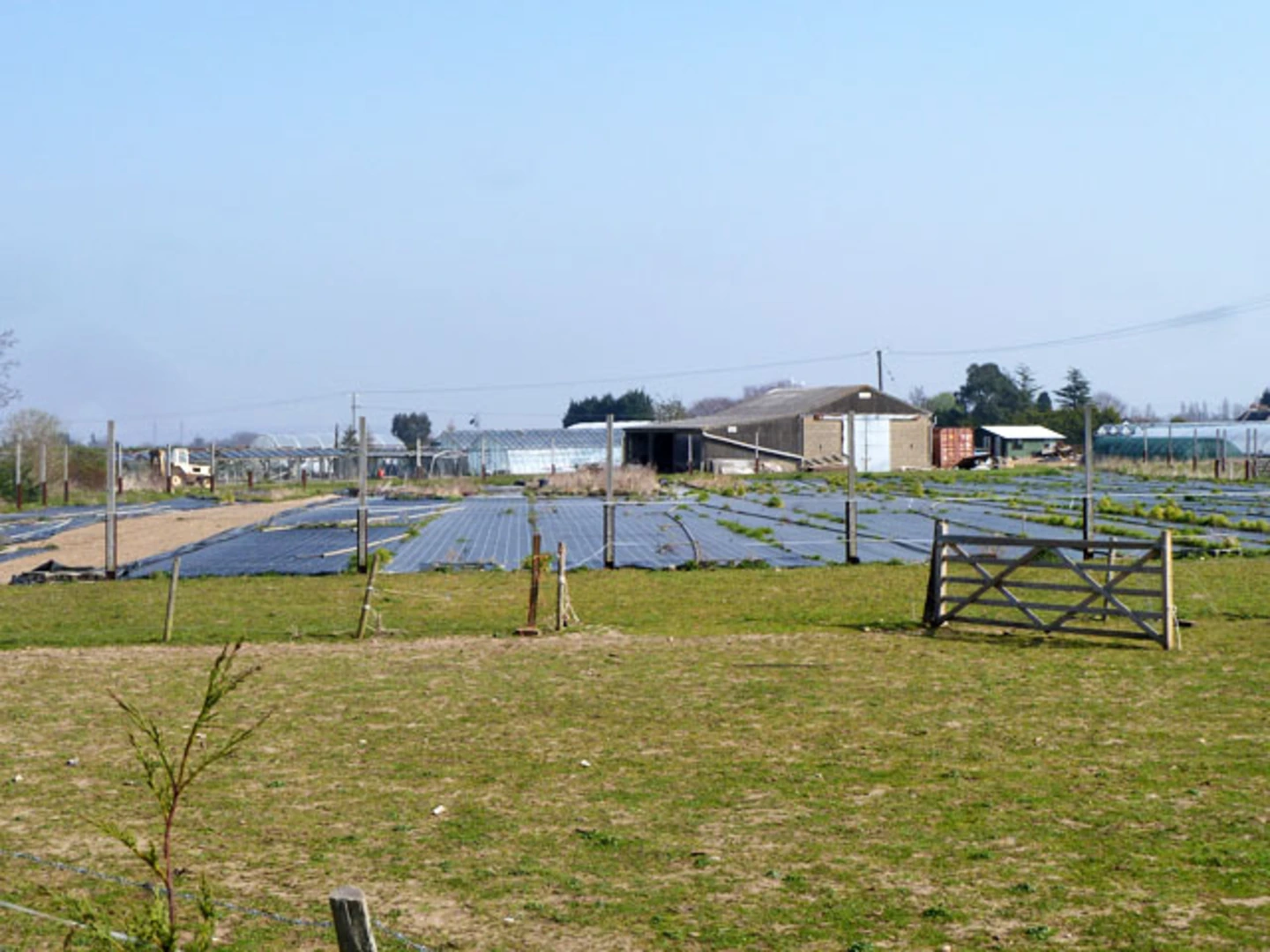 An image depicting the trail Oaks Park and Little Woodcote Estate Loop and its surrounding area.