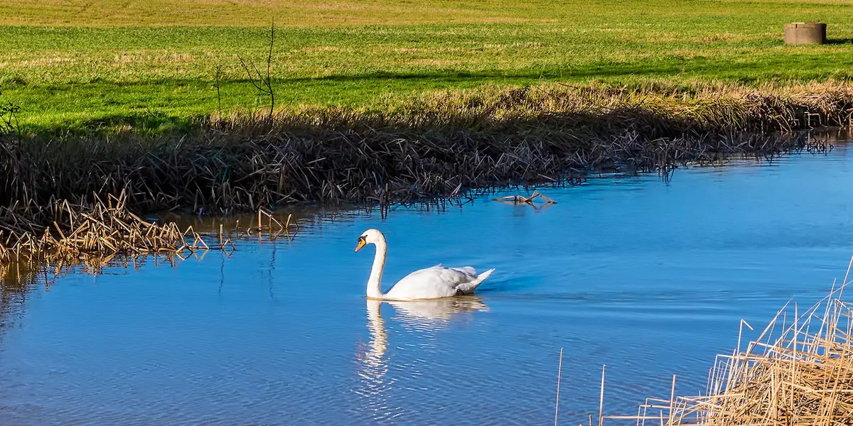 Debdale Wharf and Foxton from Smeeton Westerby