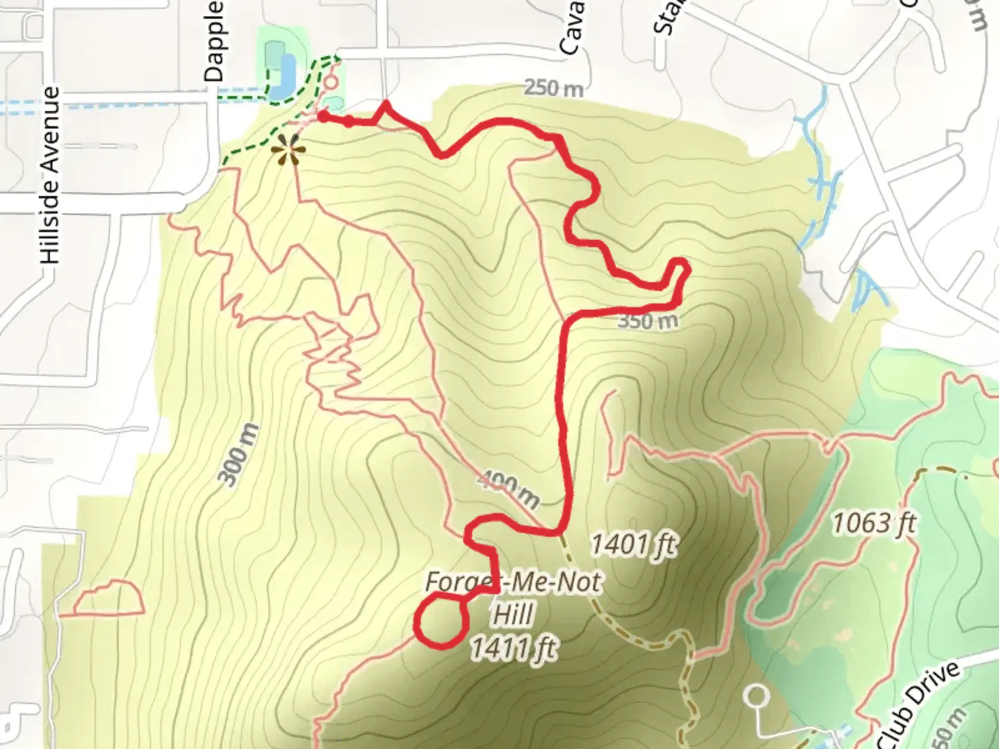 An image depicting the trail Forget Me-Not Hill and its surrounding area.