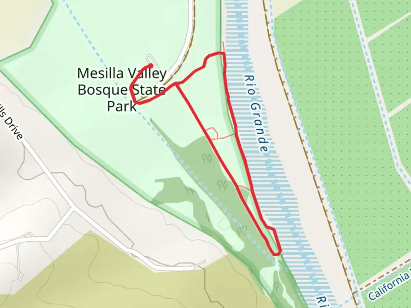 An image depicting the trail Mesilla Valley Bosque State Park and its surrounding area.