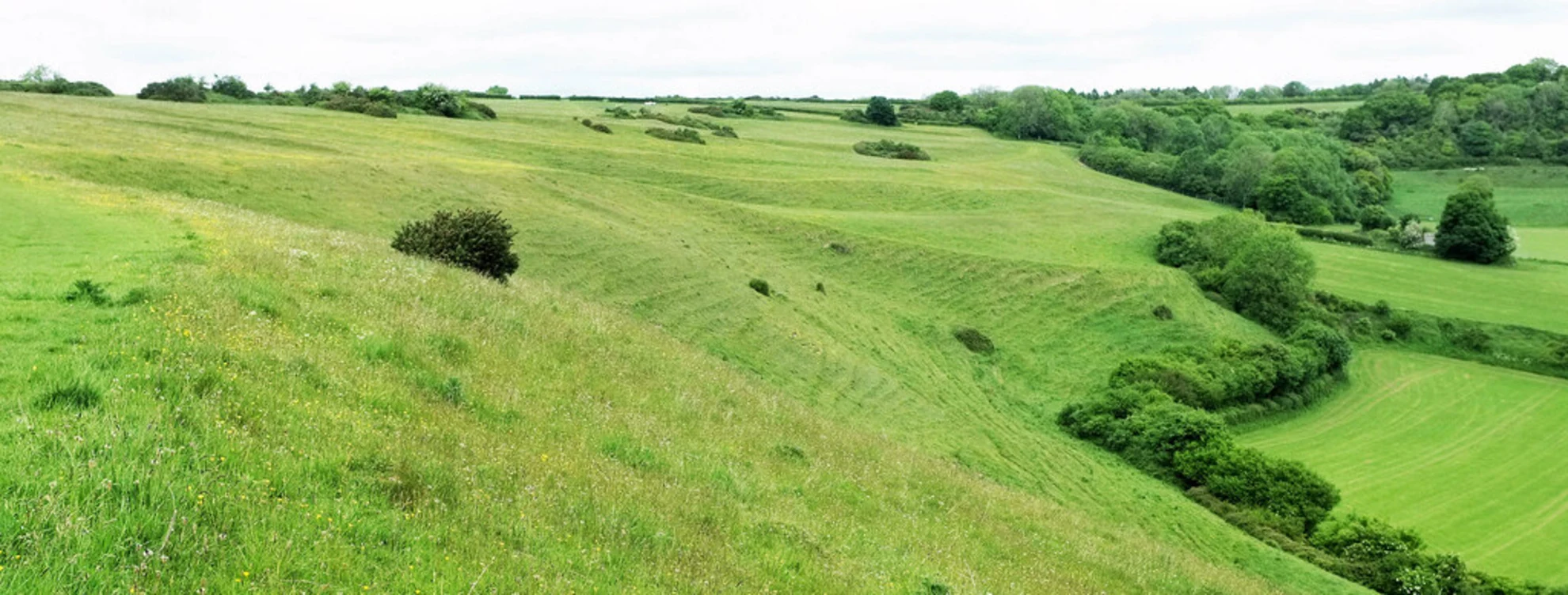 An image depicting the trail Cerne Abbas to Plush Loop Walk and its surrounding area.