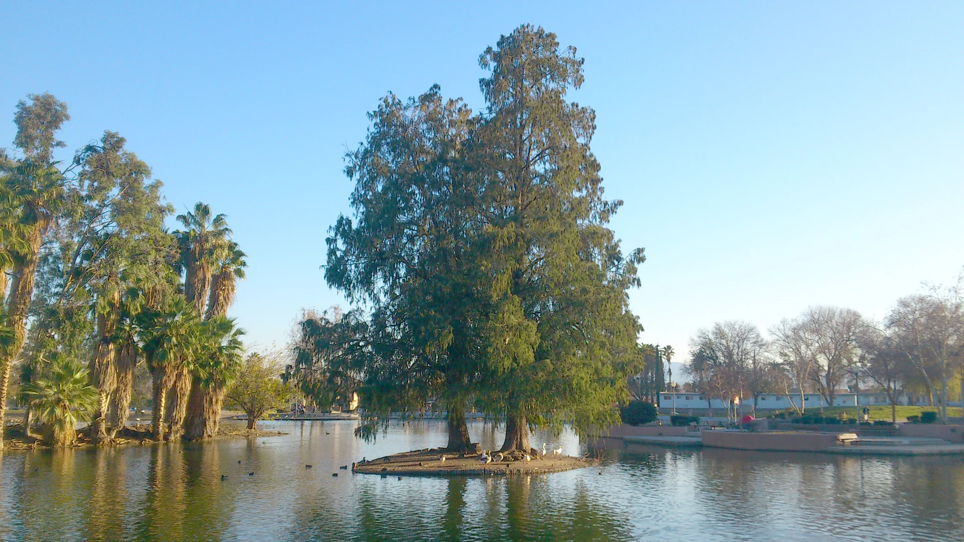 An image depicting the trail Seccombe Lake Park Loop and its surrounding area.