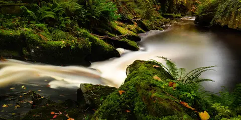 An image depicting the trail Giant's Grave Loop and its surrounding area.
