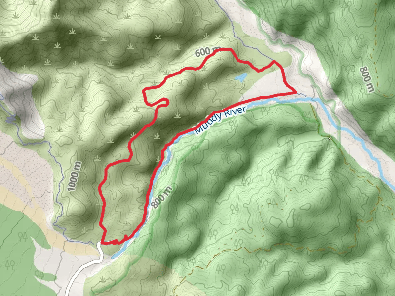 Lava Canyon Loop Trail