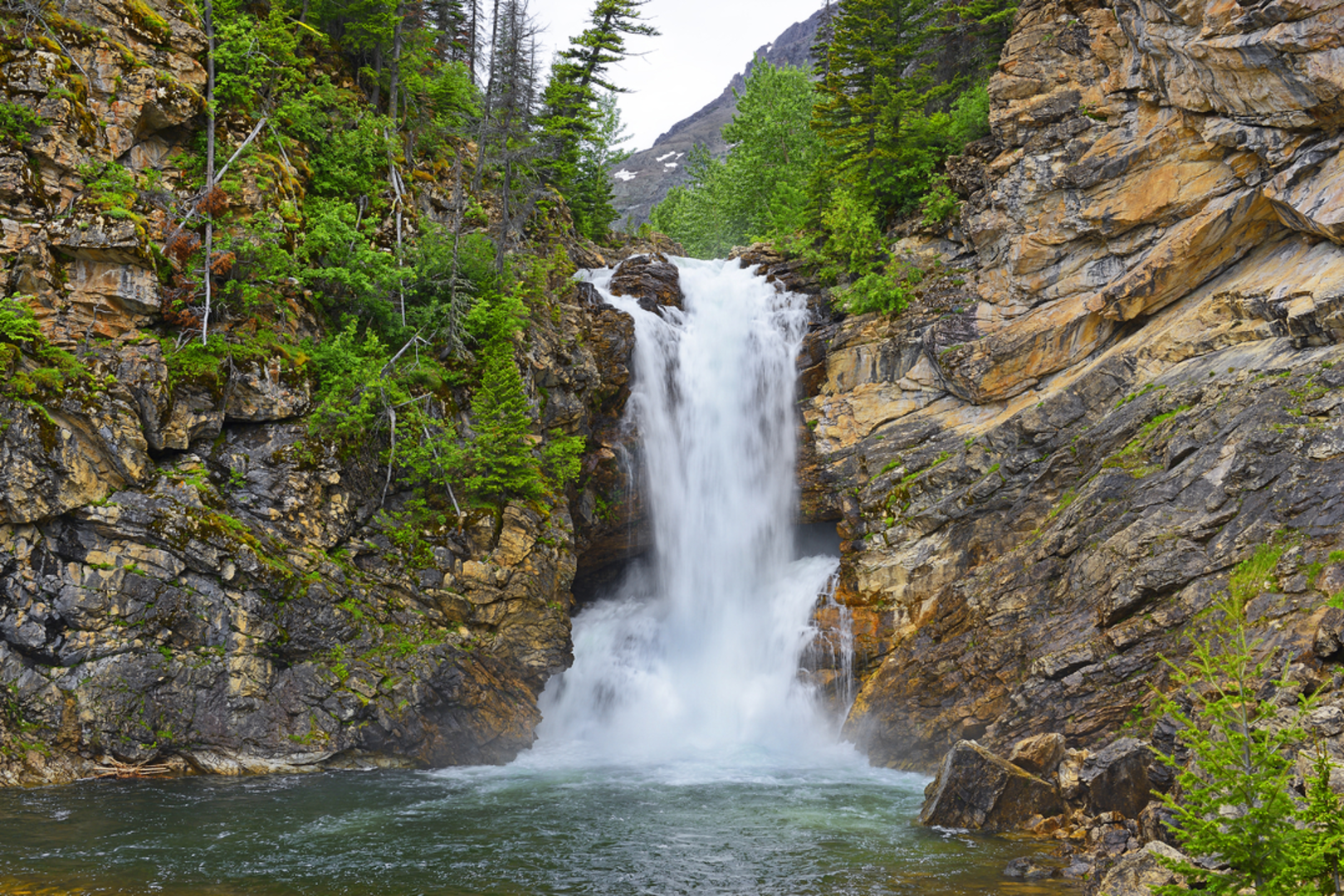 An image depicting the trail Running Eagle Falls Loop and its surrounding area.