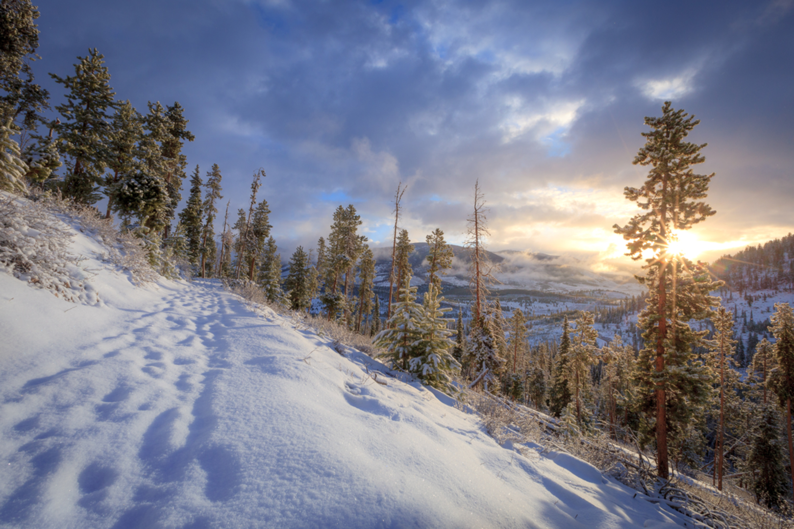 An image depicting the trail Sapphire Point Trail and its surrounding area.
