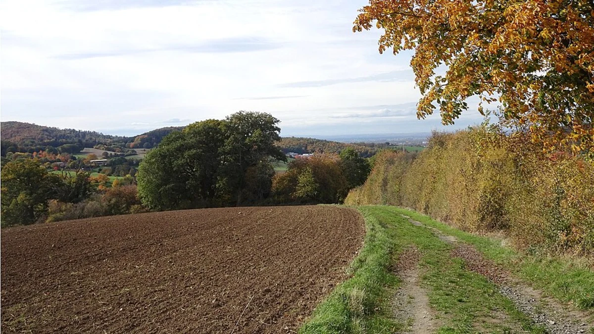 Wasserkunst Kaltehofe and Vogelschutzgehölz Loop