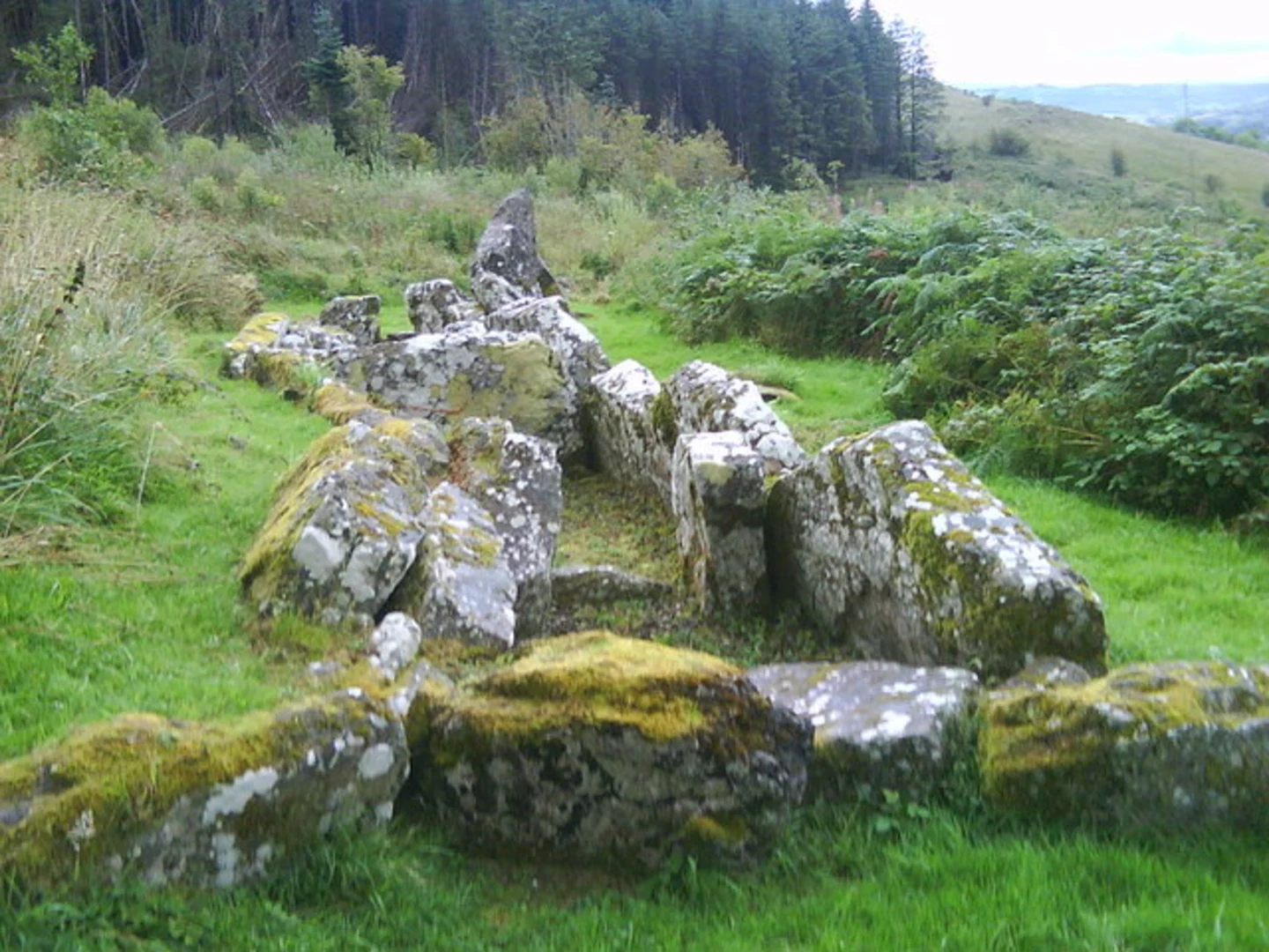 An image depicting the trail Ballintempo Forest - Aghanaglack Walk and its surrounding area.