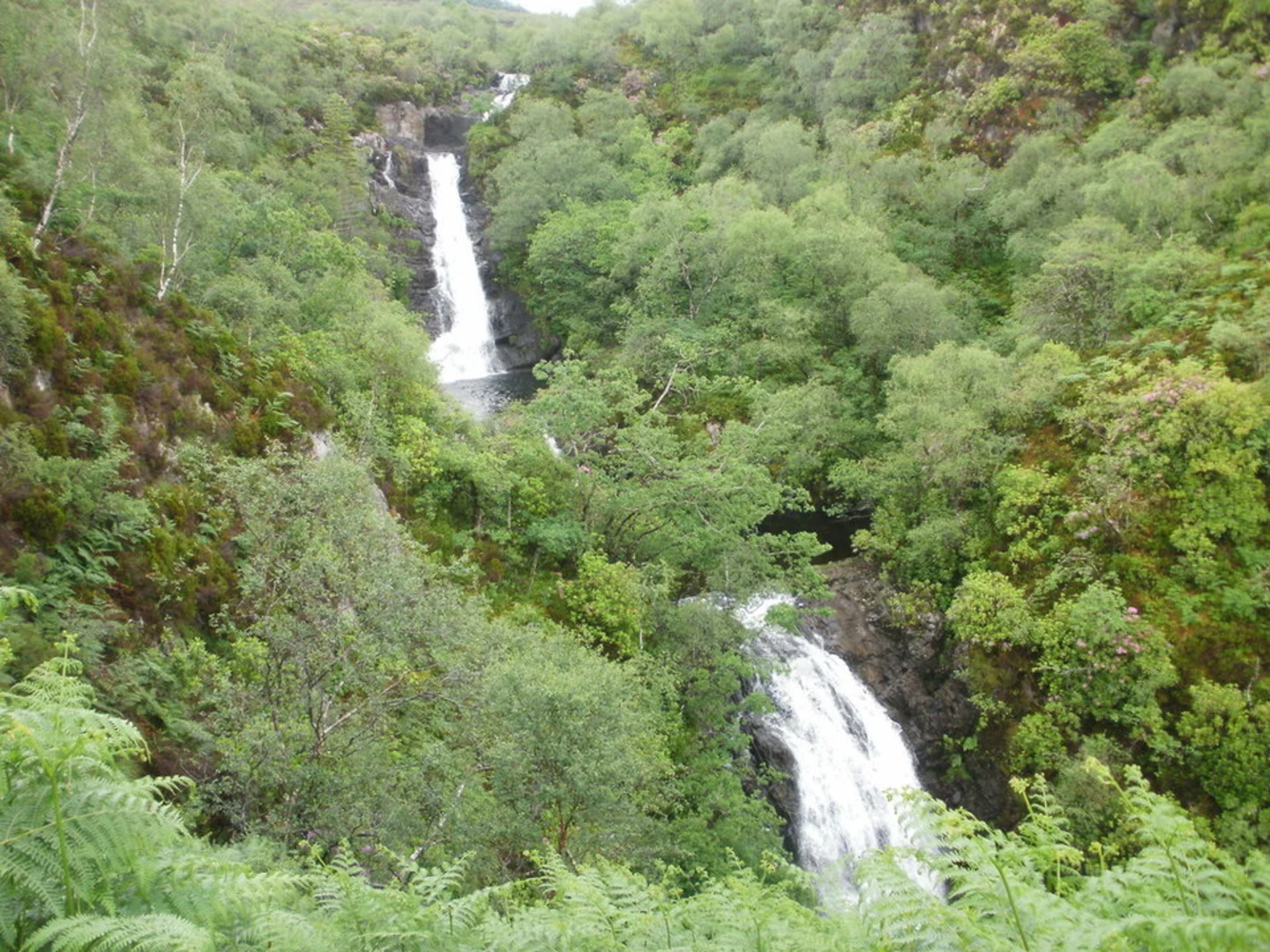 An image depicting the trail Inchree Waterfalls Loop Trail and its surrounding area.
