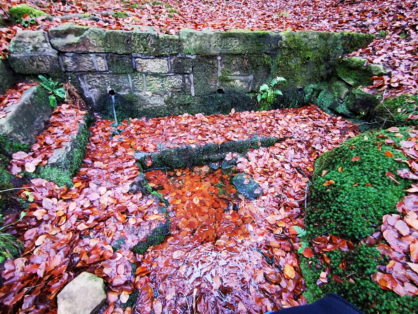 An image depicting the trail Bischofsweiher and Teufelskehl Walk and its surrounding area.