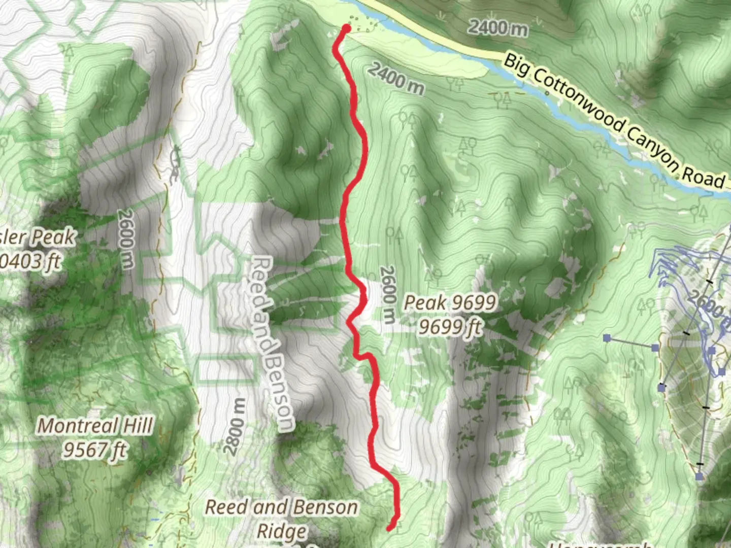 An image depicting the trail Days Fork Trail and its surrounding area.