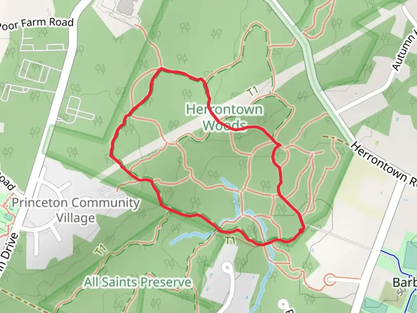 An image depicting the trail Red Loop and its surrounding area.