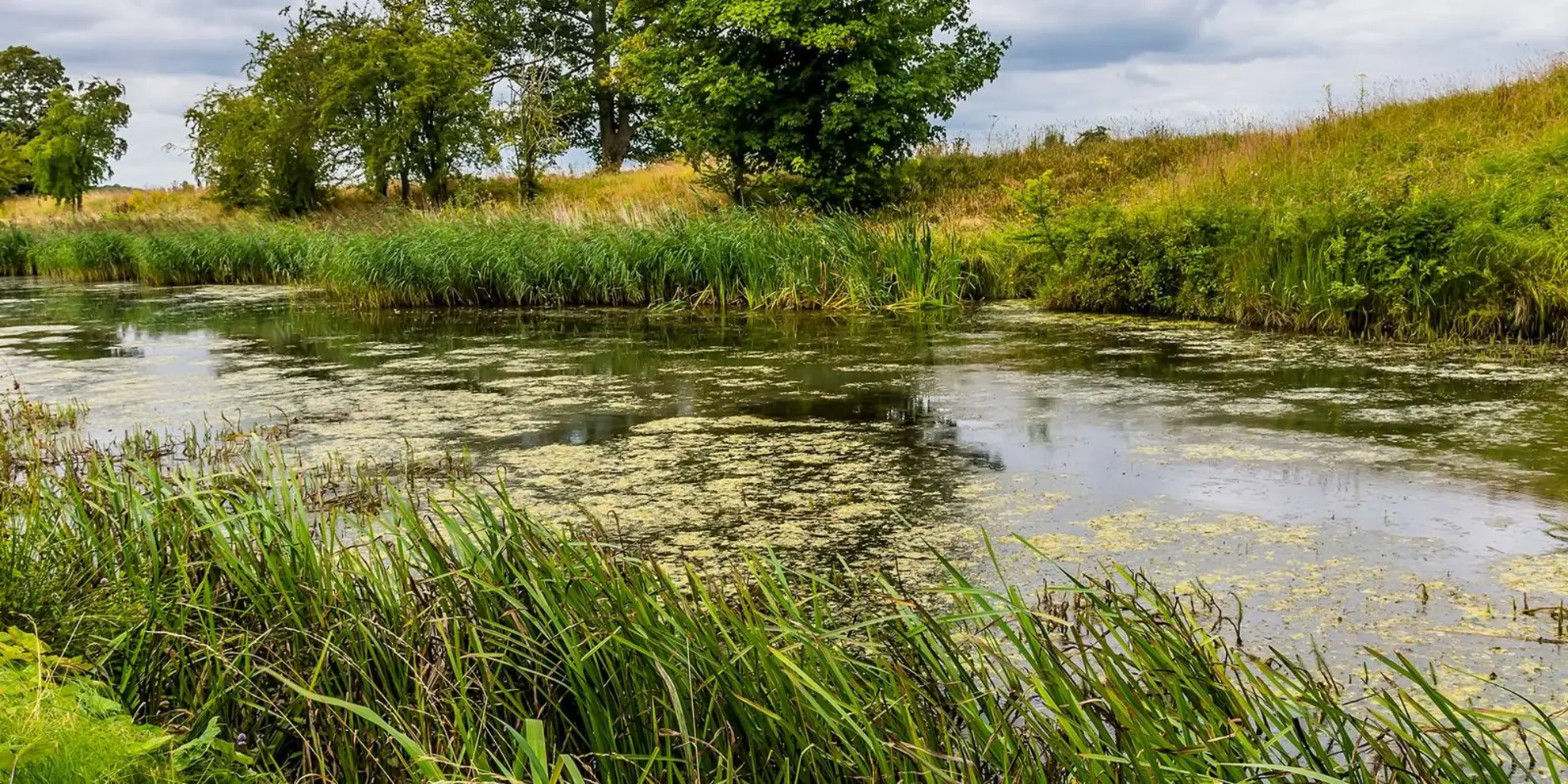 An image depicting the trail Oundle - River Nene and Barnwell Country Park and its surrounding area.