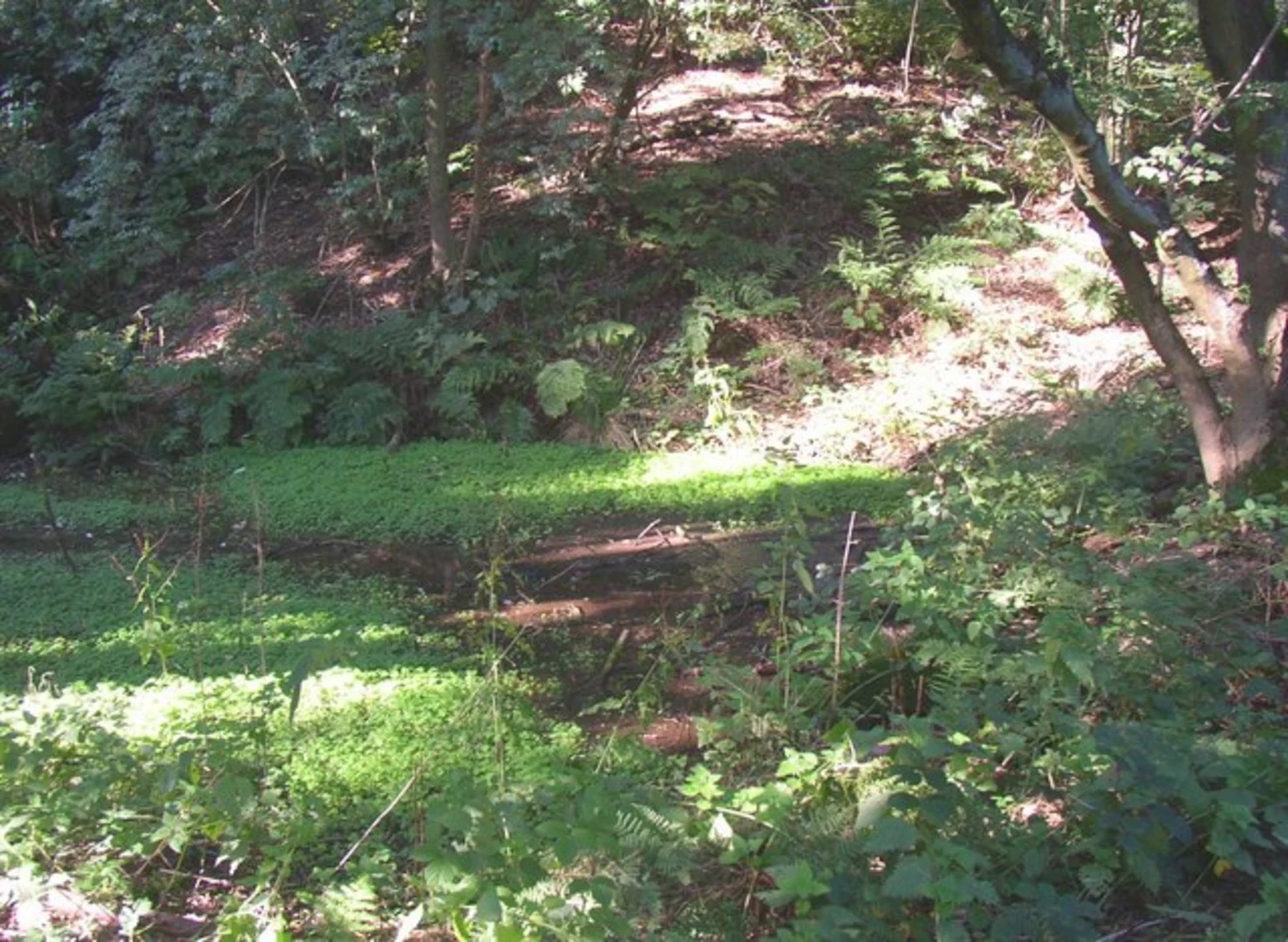 An image depicting the trail Bank Top and Elland Loop and its surrounding area.