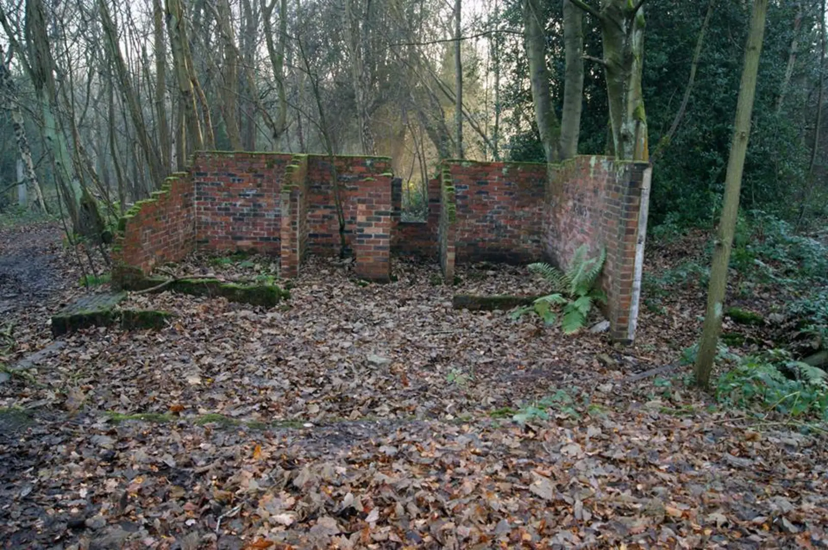 An image depicting the trail Calverley Woods and its surrounding area.