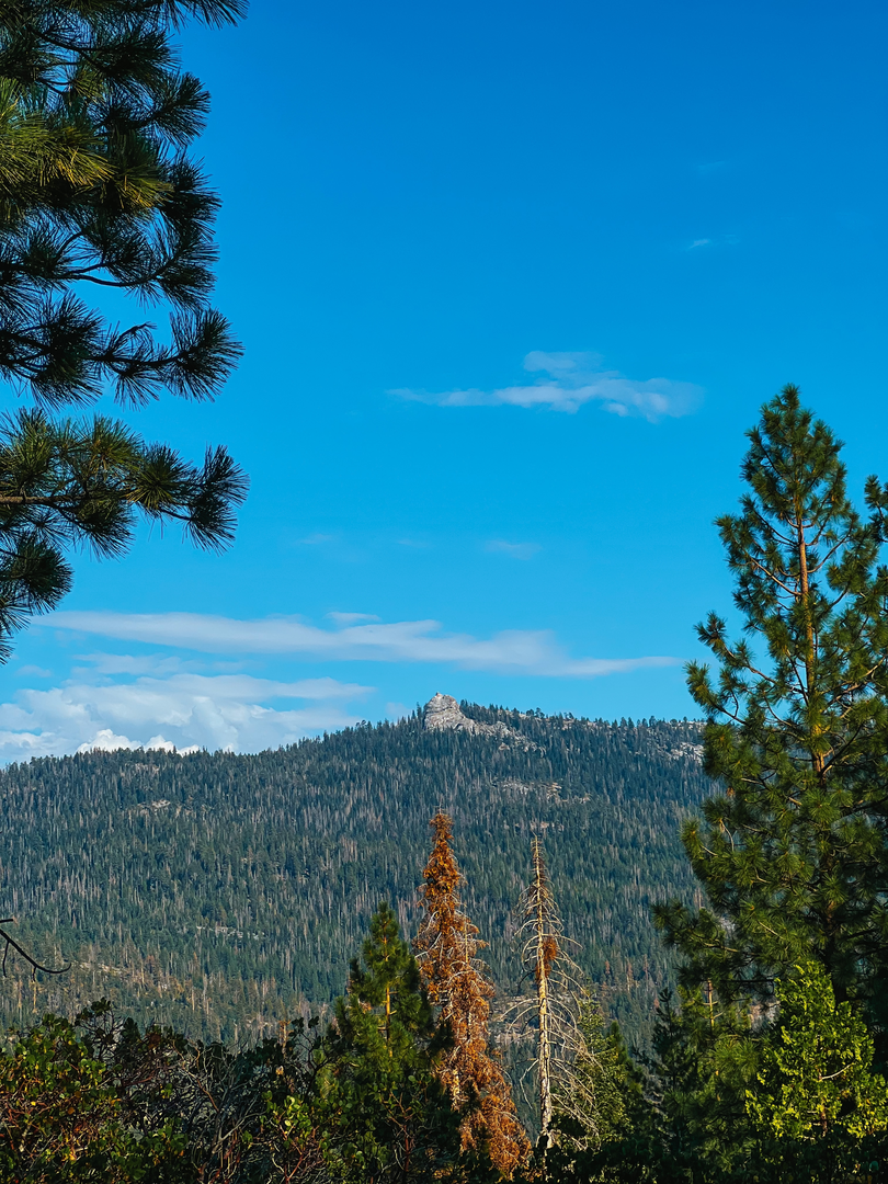 An image depicting the trail Buck Rock and its surrounding area.