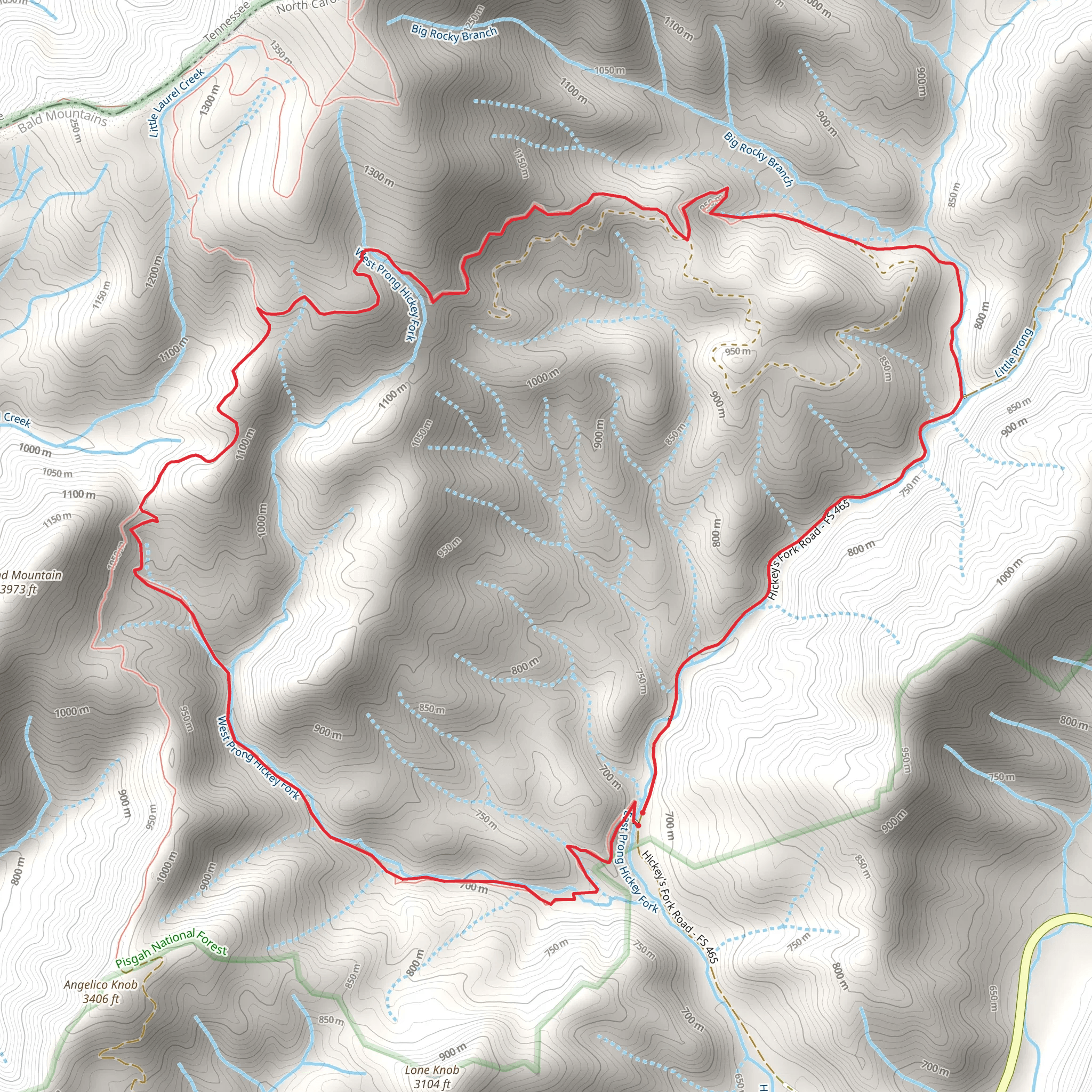 Hickey Fork Trail to White Oak Flats Loop Trail mobile static map