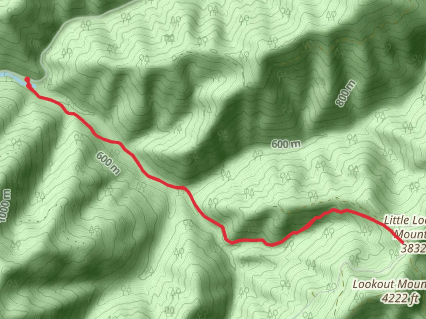 An image depicting the trail Little Lookout Mountain via East Fork Trail and its surrounding area.