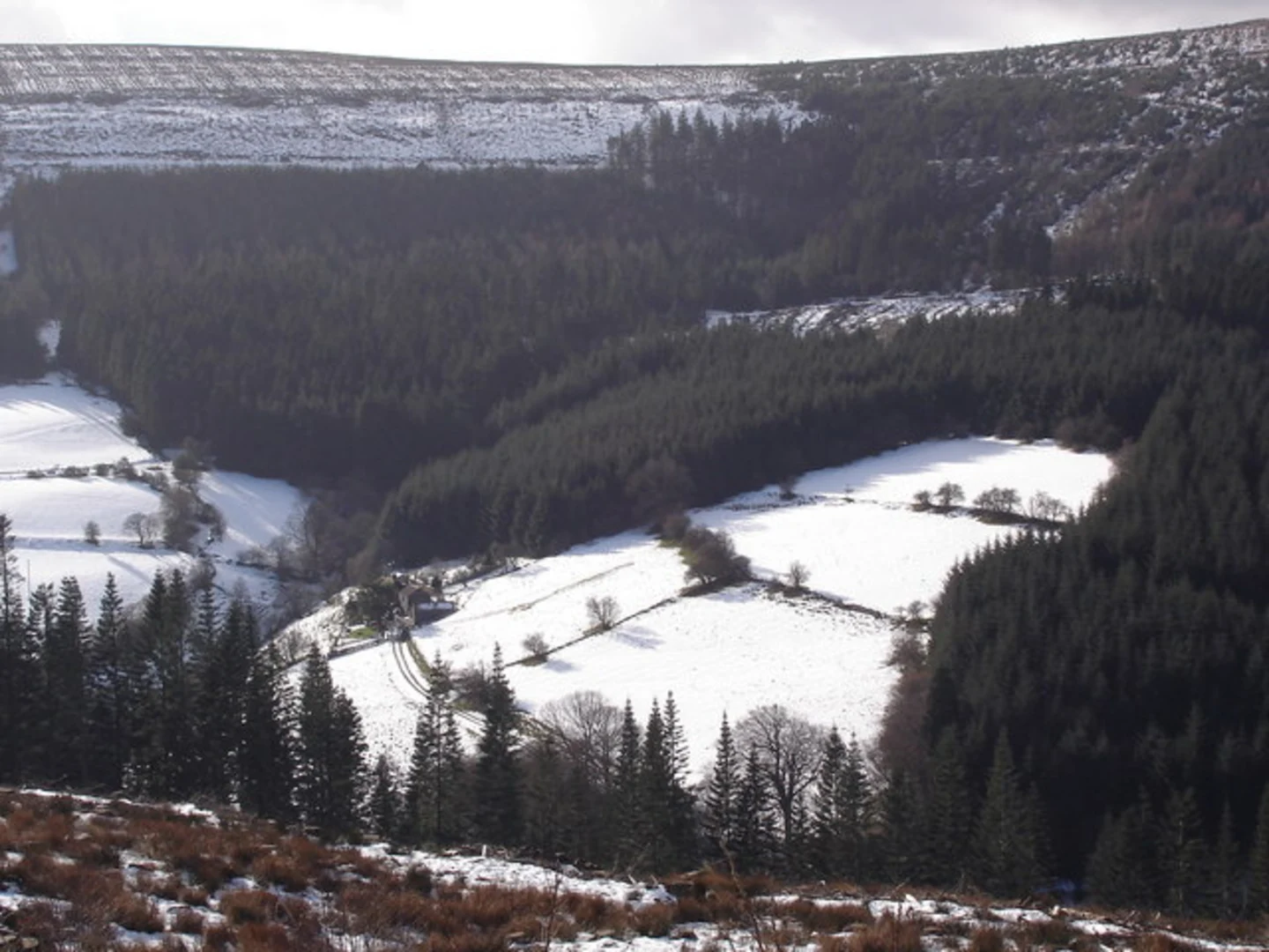 An image depicting the trail Mynydd Du Forest Loop and its surrounding area.