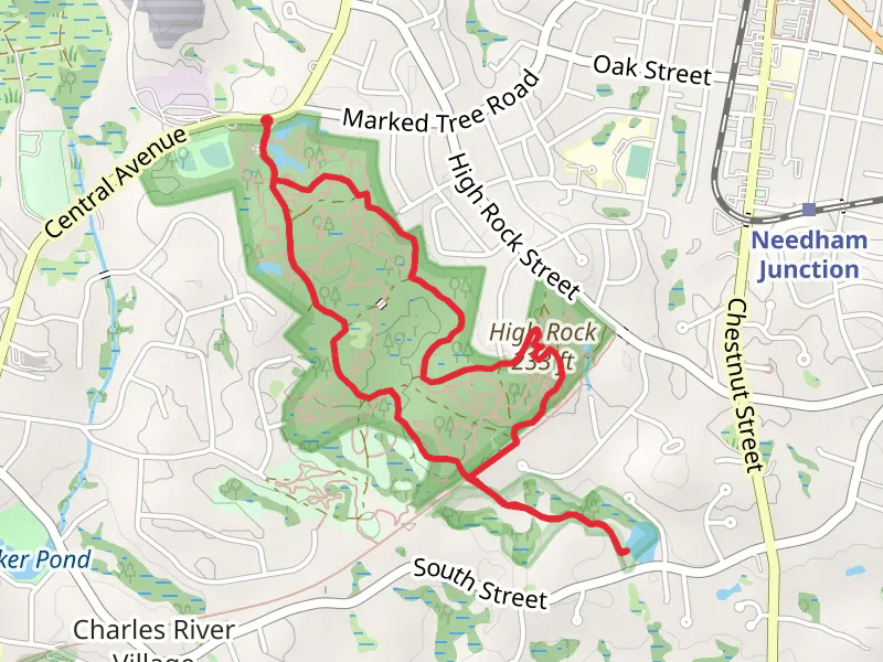 Needham Town Forest and Farley Pond Loop Trail