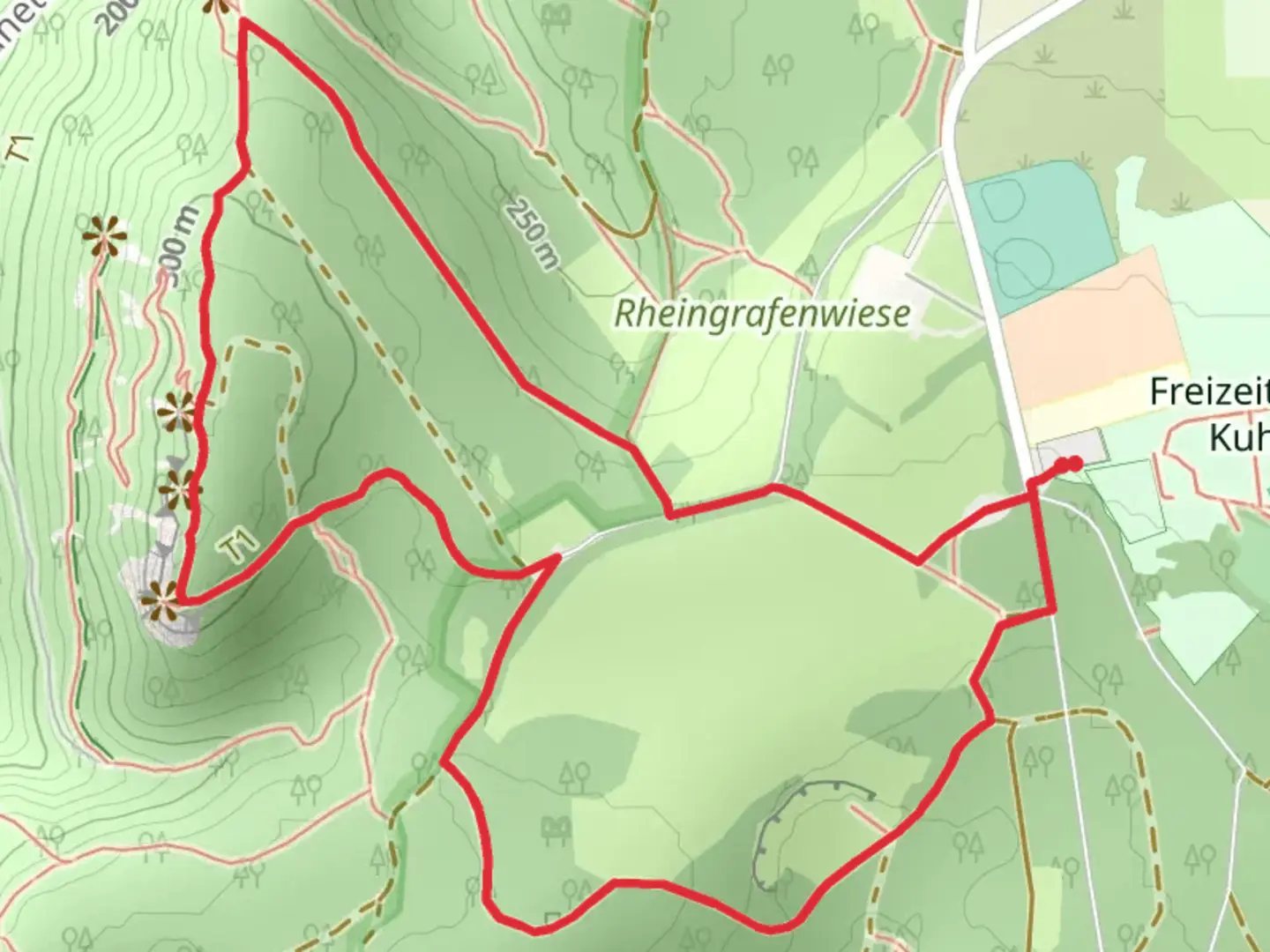 An image depicting the trail Schloss Rheingrafenstein and Gans Loop and its surrounding area.