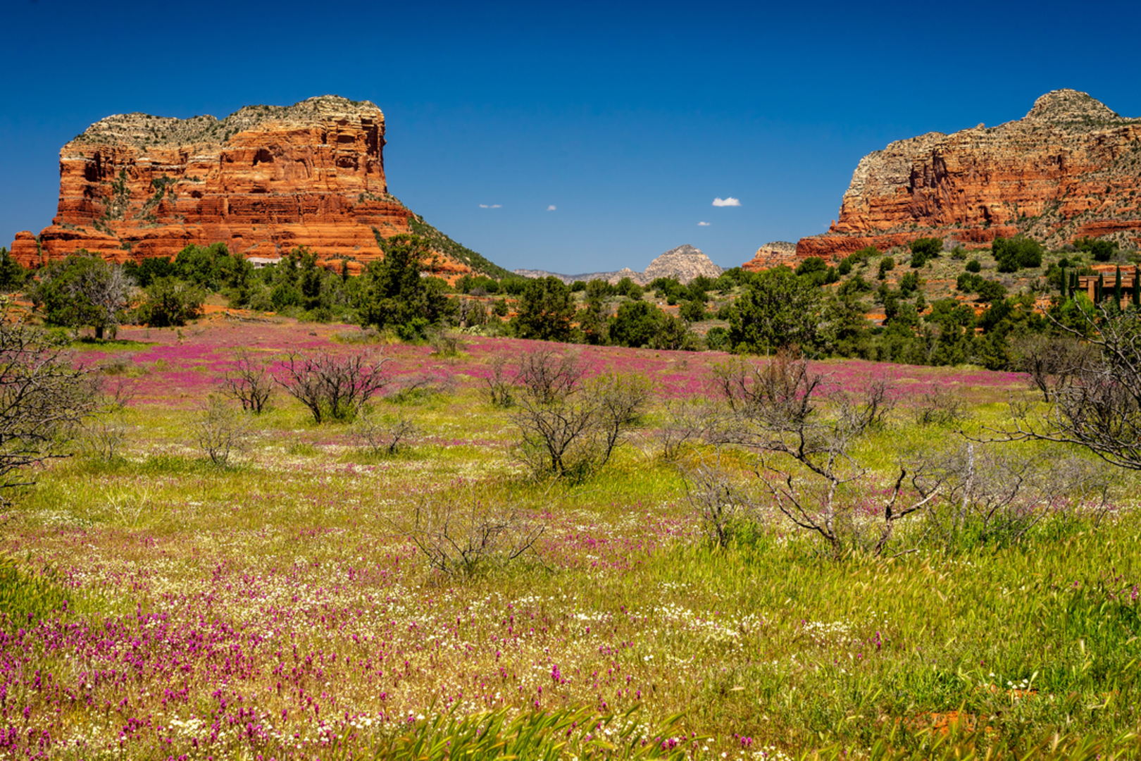 An image depicting the trail Dairy Springs Trail and its surrounding area.