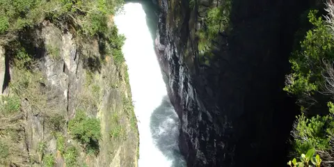 An image depicting the trail Jacks Blowhole Track and its surrounding area.