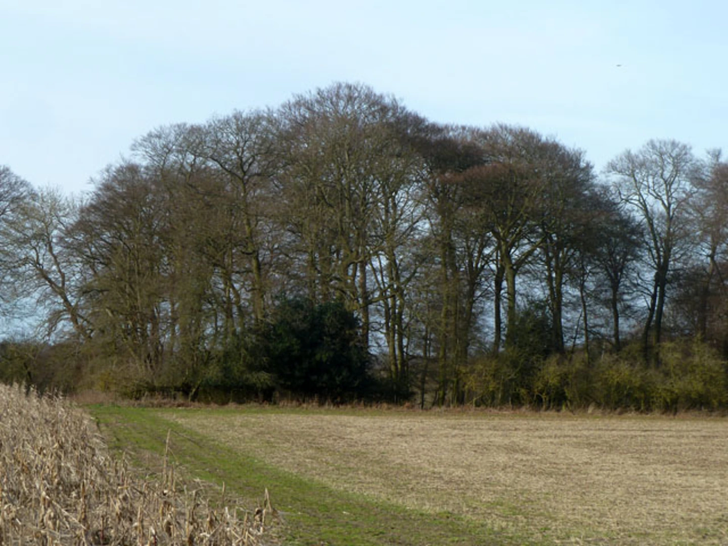 An image depicting the trail North Cot Wood, Killdown Bank and River Thames Walk and its surrounding area.