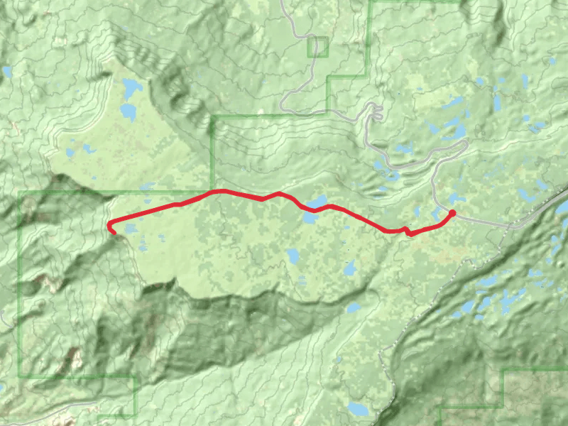 Anderson Reservoirs Road Trail