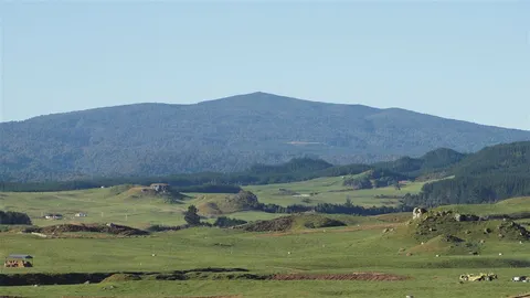 Mount Pureora via Toitoi Track