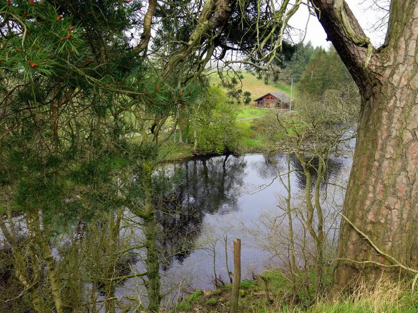 An image depicting the trail River Rede Loop - West Woodburn and its surrounding area.