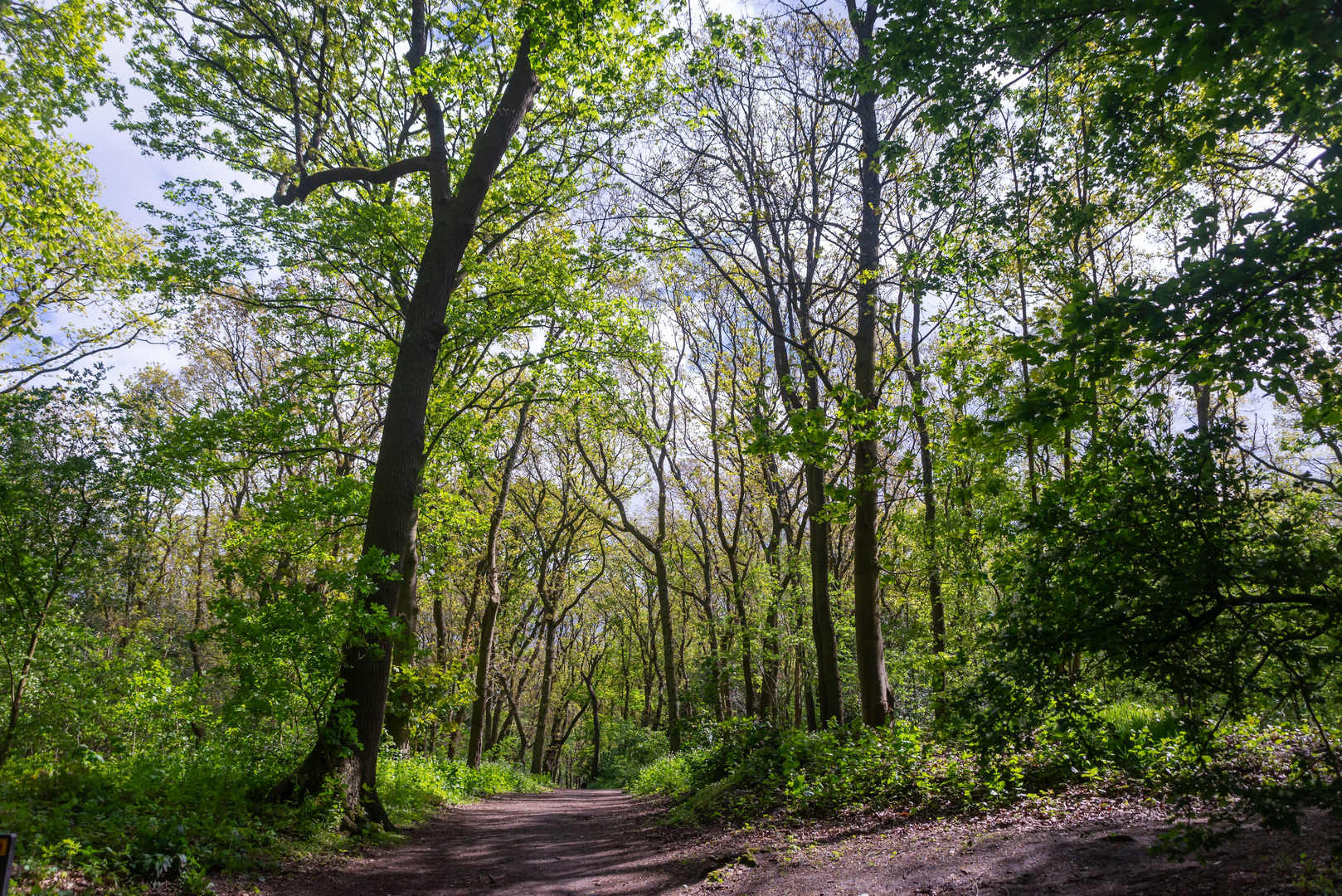 An image depicting the trail Meer en Bos and Westduinpark via Ockenbrughstraat, Solleveldpad and Pieter Pauluspad and its surrounding area.