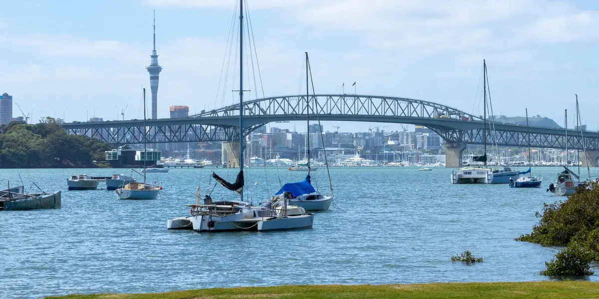 Le Roys Bush Reserve Walk