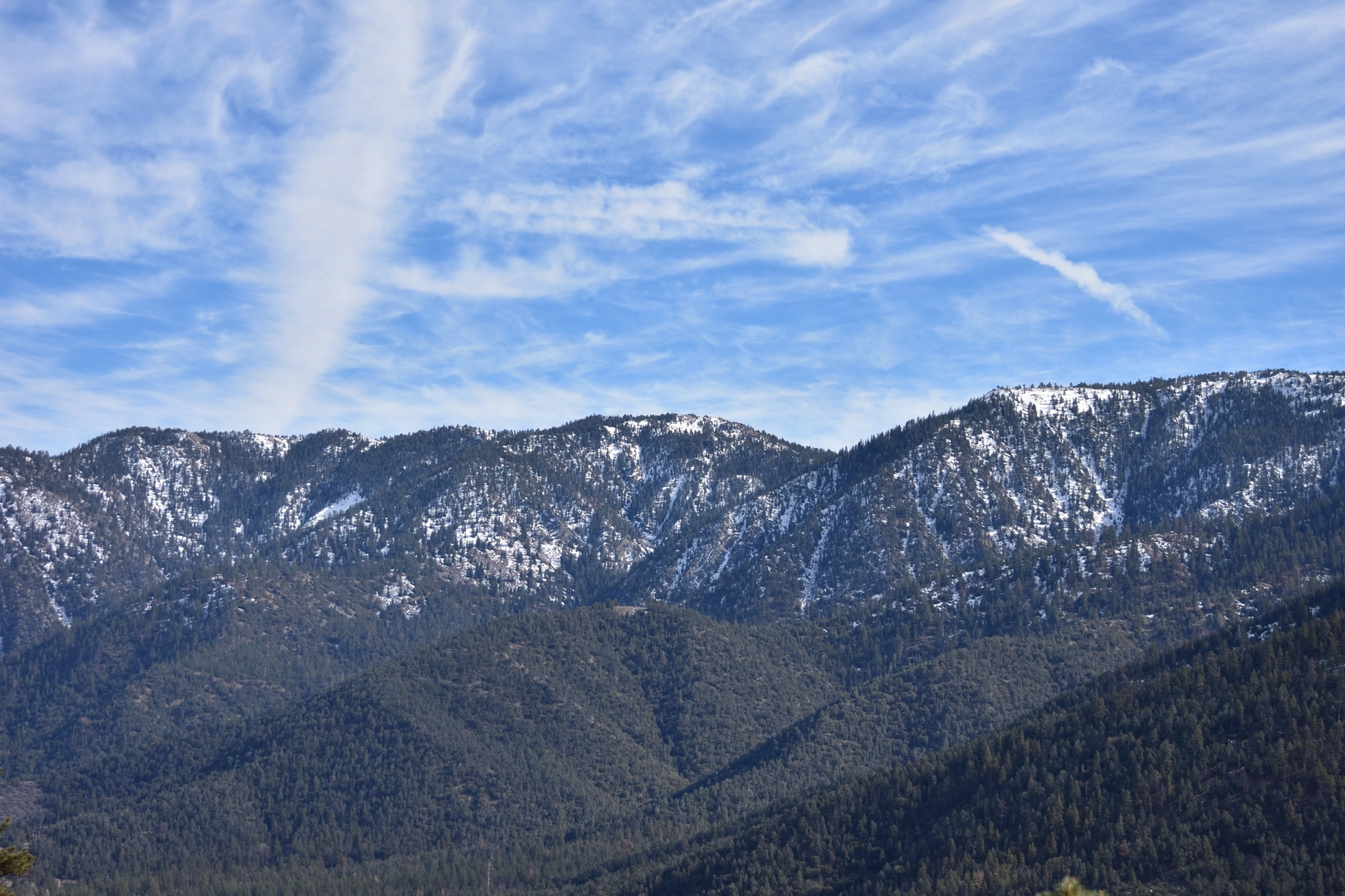 An image depicting the trail Mount Pinos via Condor Summit and its surrounding area.