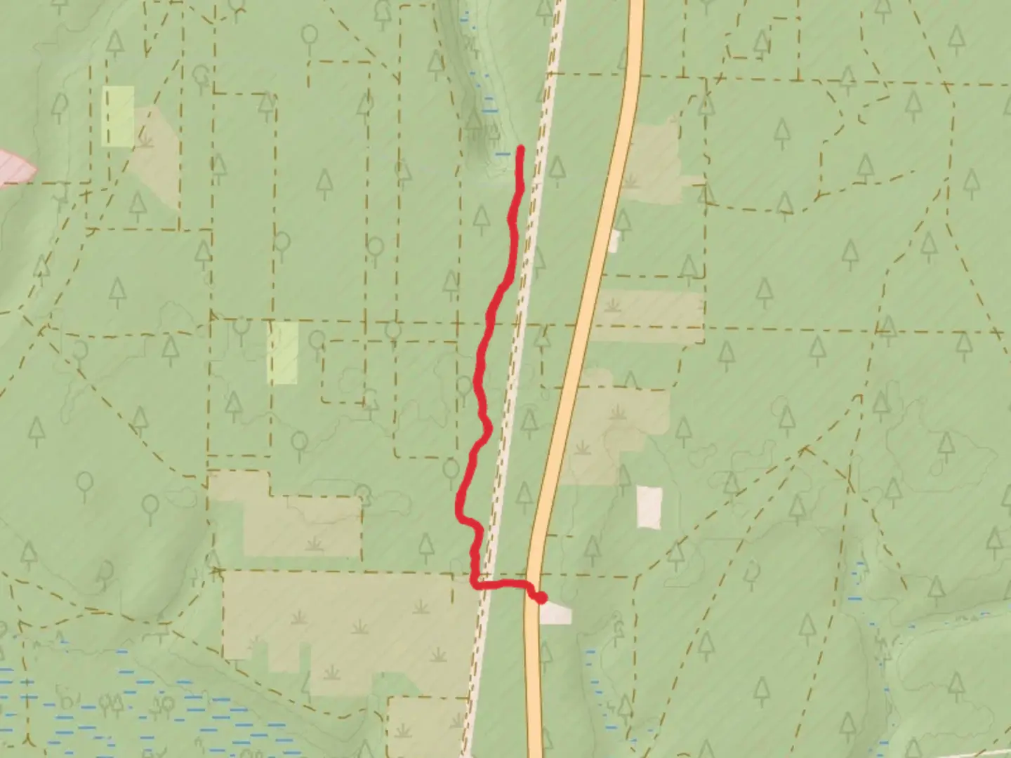 An image depicting the trail Florida Trail Short and its surrounding area.