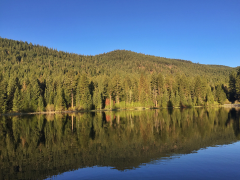 An image depicting the trail Juanita Lake Loop Trail and its surrounding area.