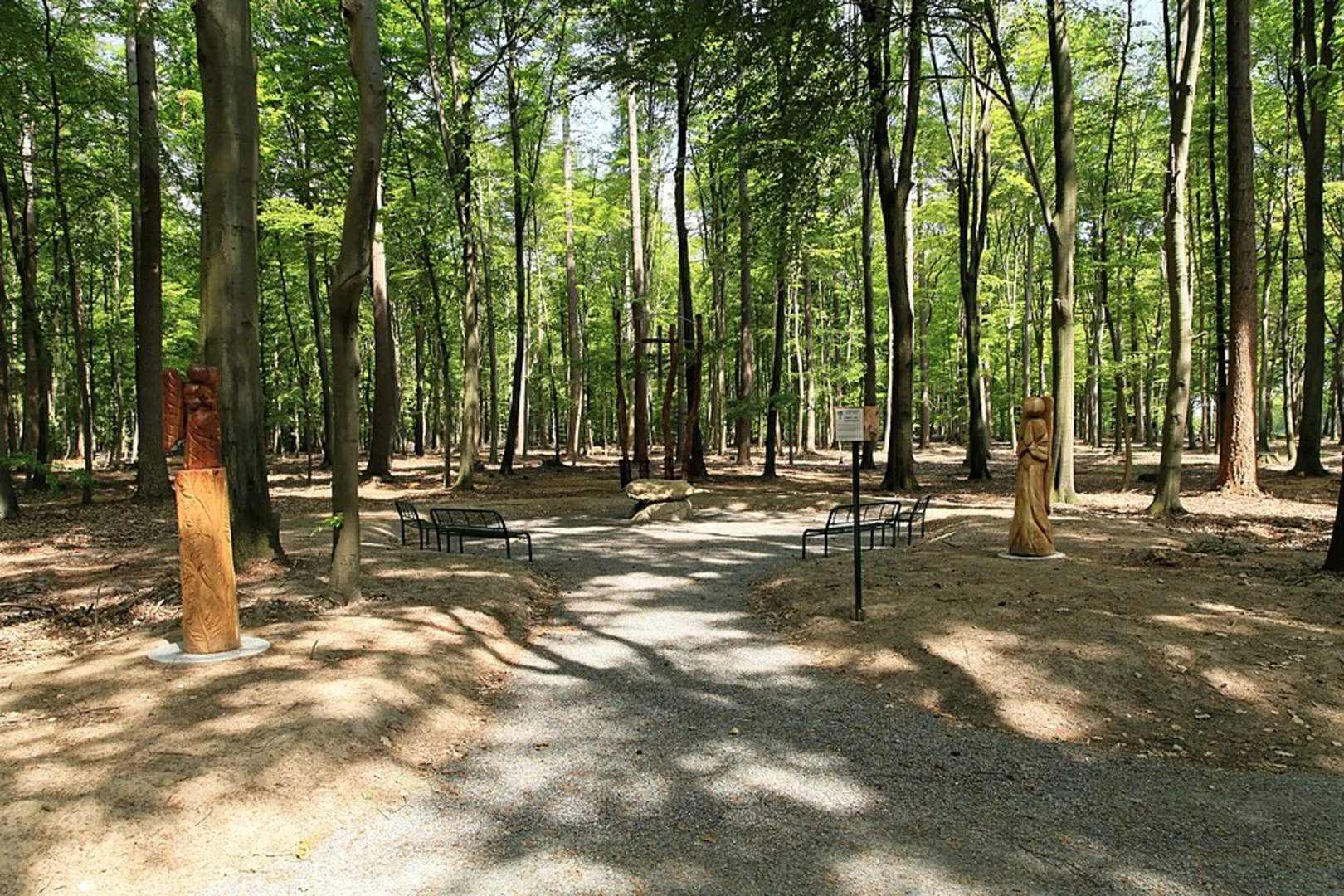 An image depicting the trail Cappenburg Rundweg and its surrounding area.