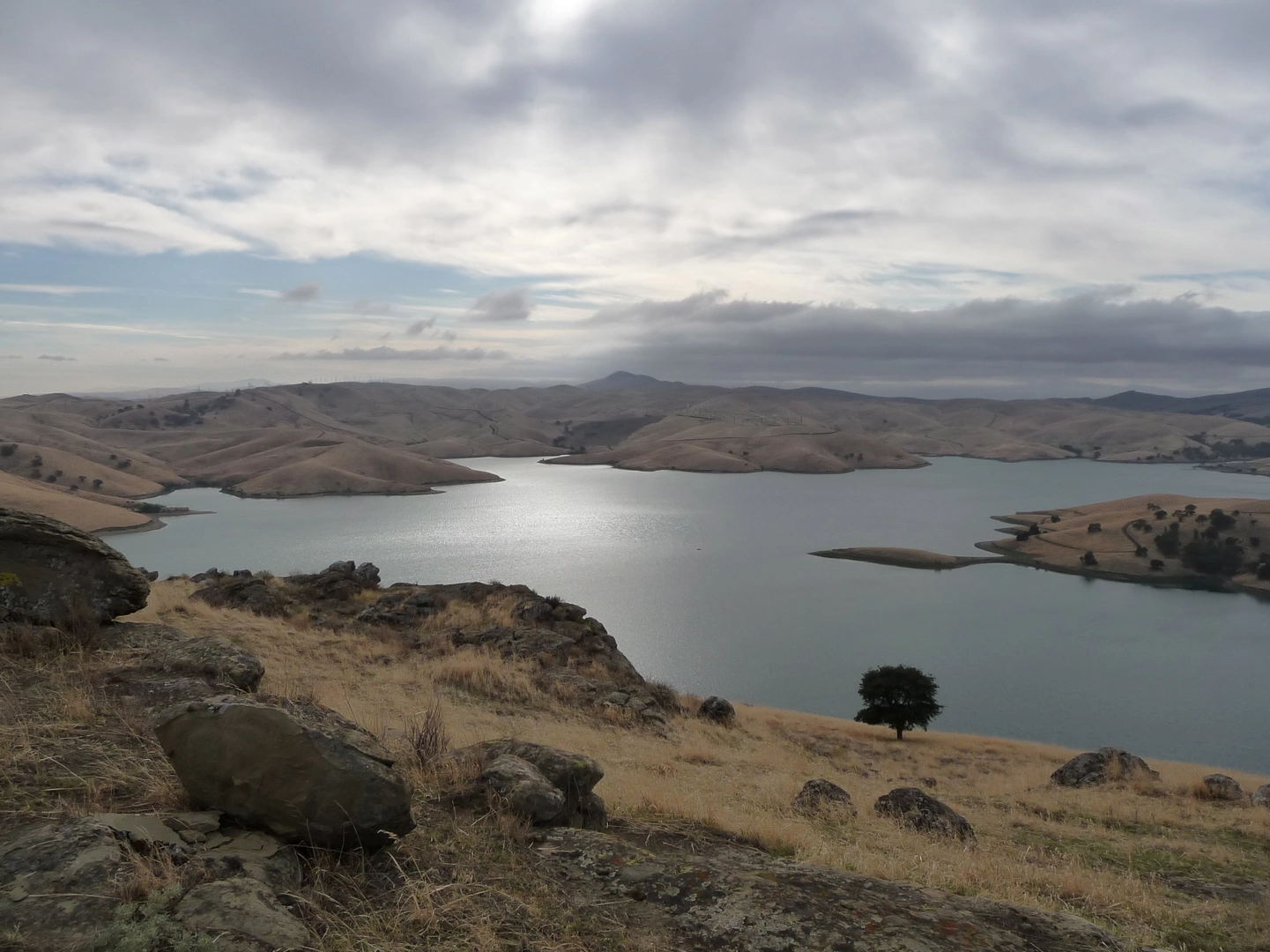 An image depicting the trail Eagle Ridge Loop Trail and its surrounding area.