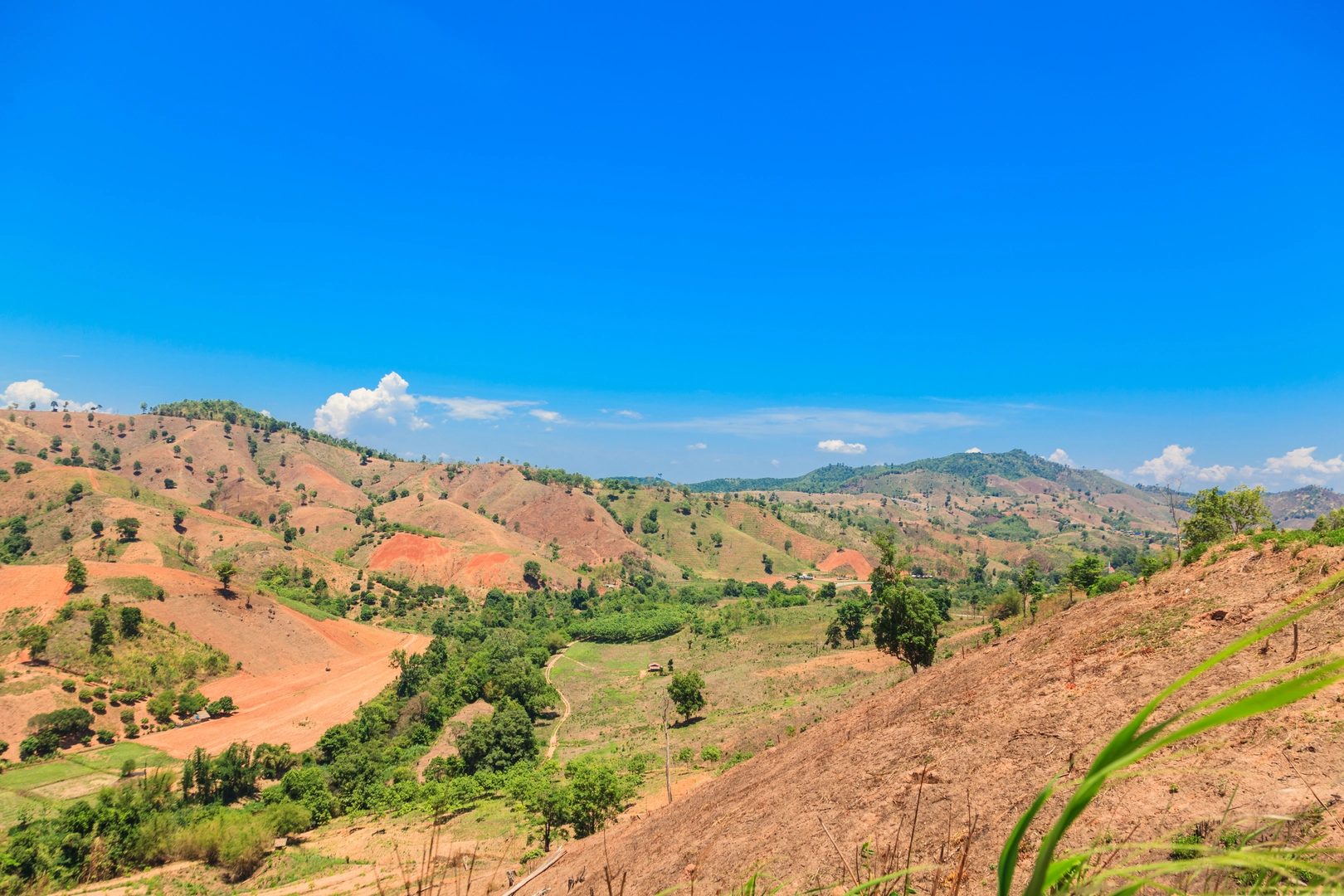 An image depicting the trail Bald Mountain Trail and its surrounding area.